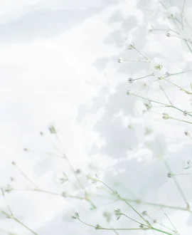 検査結果イメージ写真04